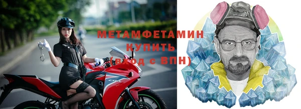 прущие грибы Кулебаки