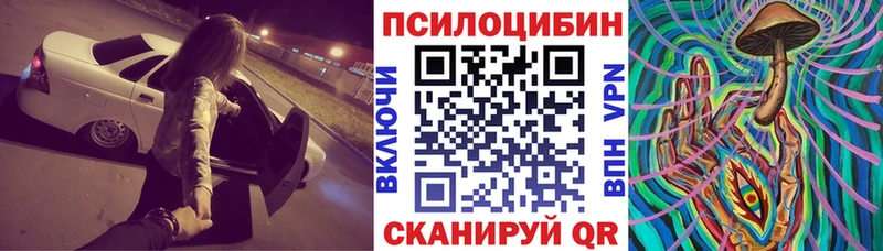 Галлюциногенные грибы Psilocybine cubensis  гидра маркетплейс  Курганинск 